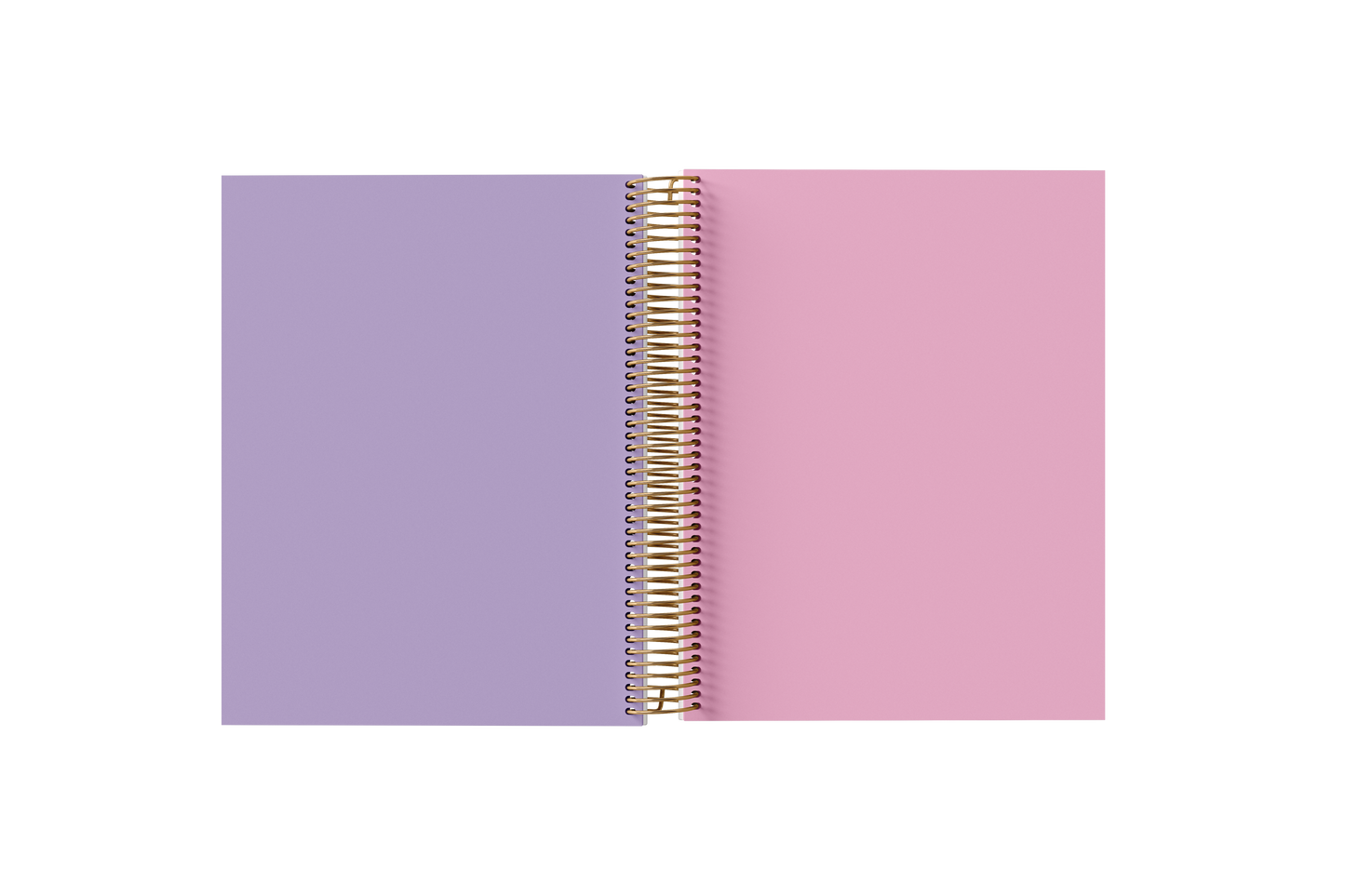 BLANK Paper Holographic Notebook by BERTEAU & Co.
