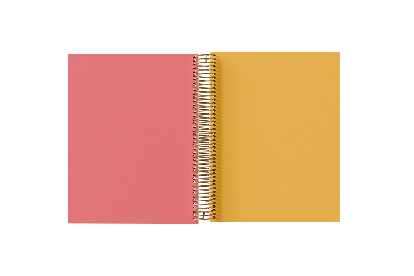 BLANK Paper Holographic Notebook by BERTEAU & Co.