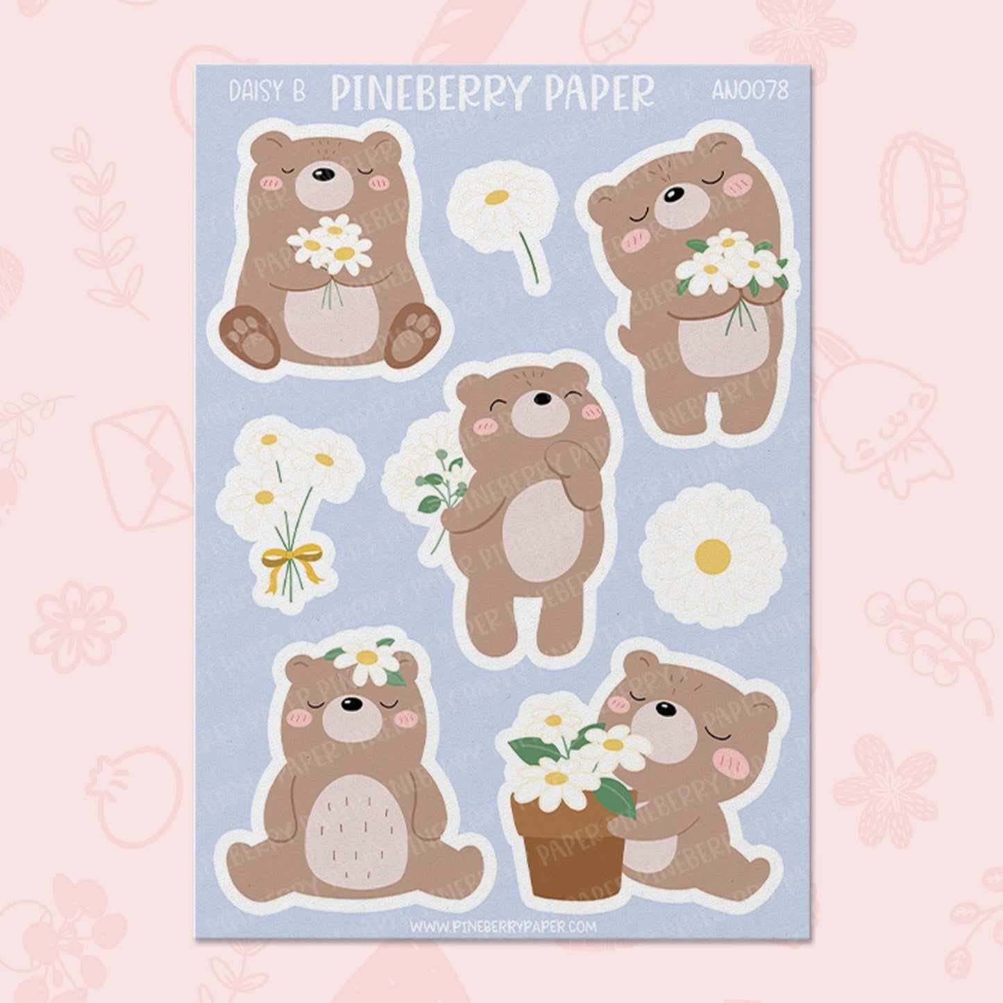 Daisy Bear | AN0078