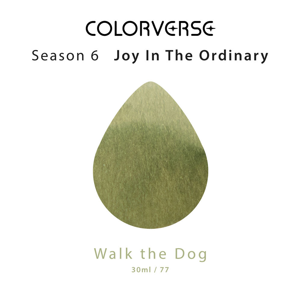 Colorverse Earth Edition Joy In The Ordinary Walk The Dog 30mL Bottled Ink
