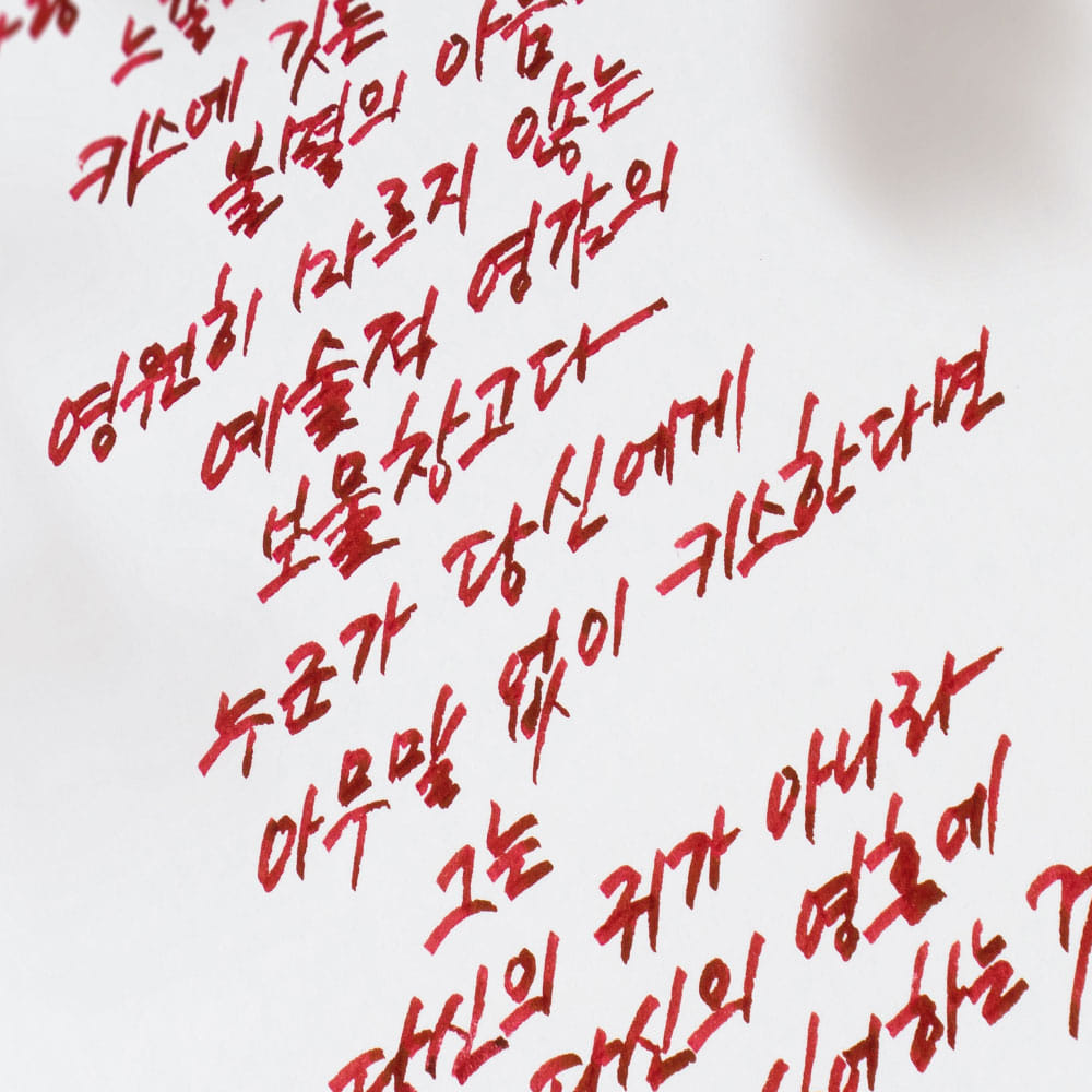 Colorverse Dan Hong Project Volume 4 Minhwa 30mL Bottled Ink