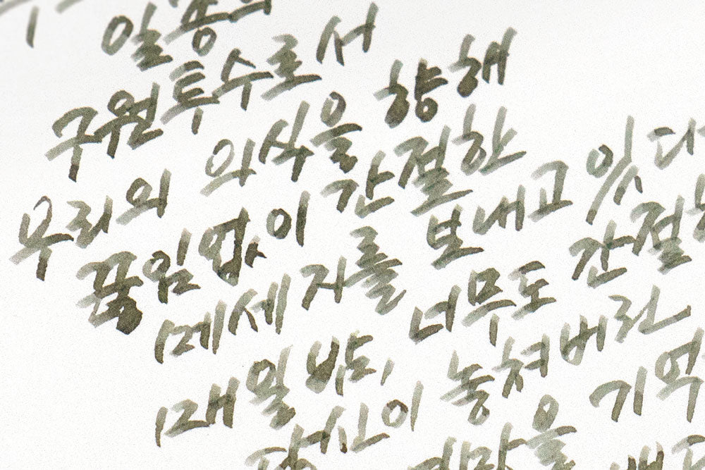 Colorverse Hwang Cho Project Volume 4 Minhwa 30mL Bottled Ink