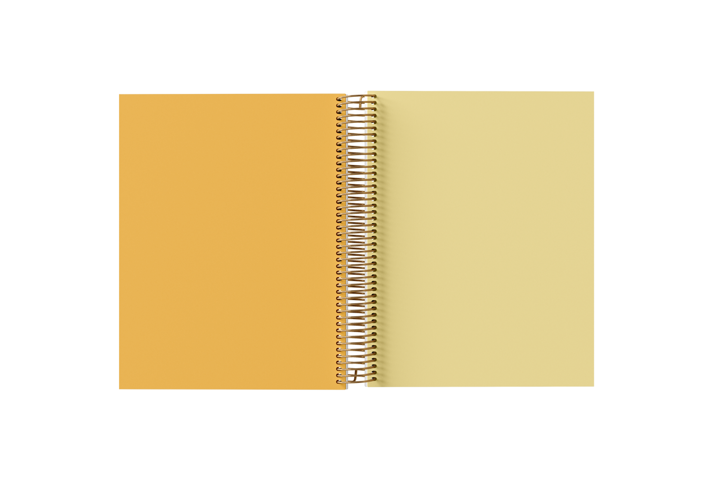 BLANK Paper Holographic Notebook by BERTEAU & Co.